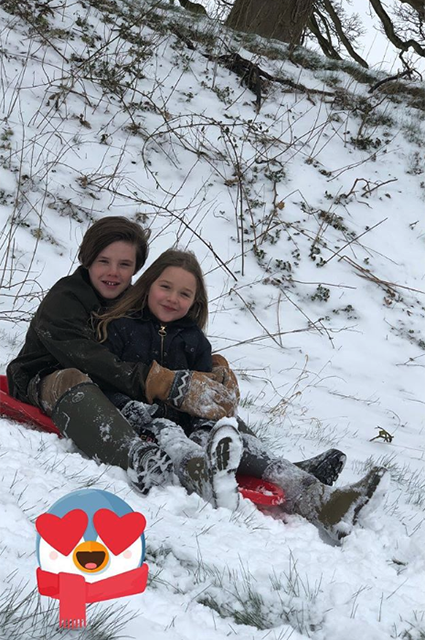 Дети Виктории и Дэвида Бекхэм