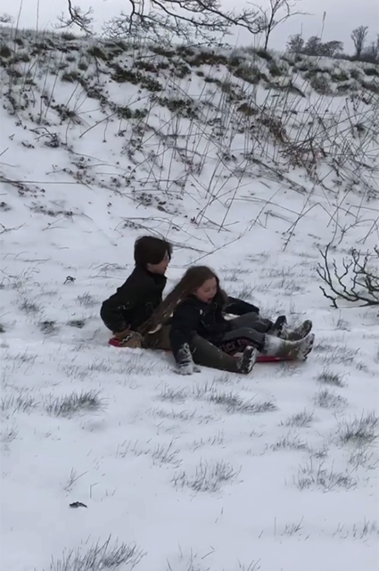 Дети Дэвида Бекхэма