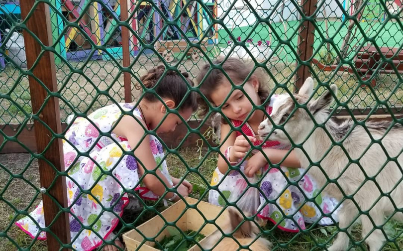 Камалия дети