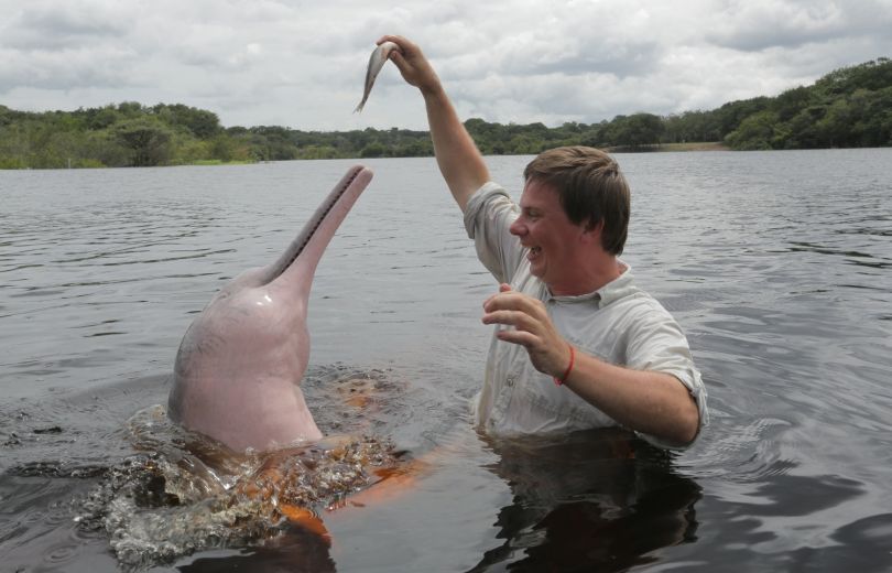 Комаров и розовый дельфин