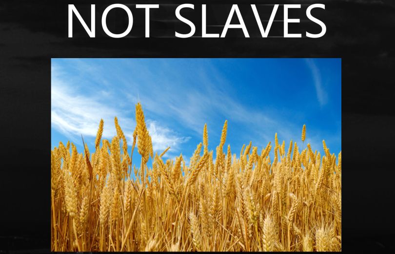 Not Slaves
