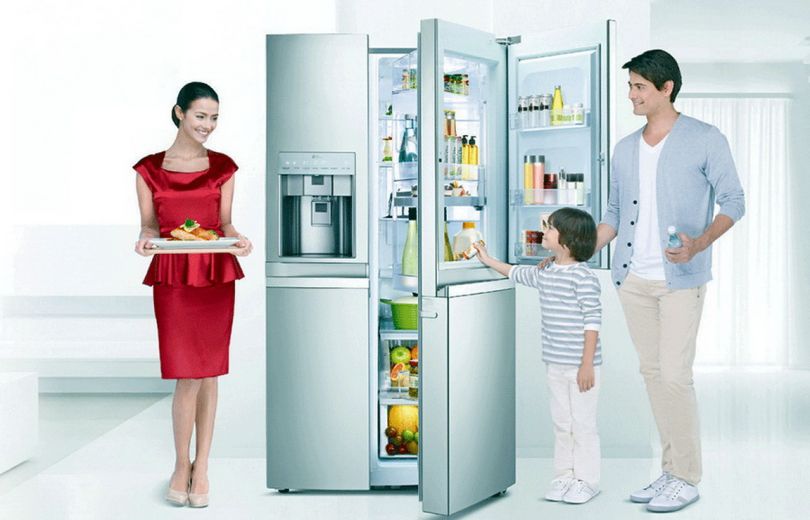 рекомендации экспертов по выбору холодильника