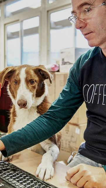 pet-friendly места