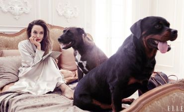 Анджелина Джоли