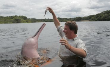 Комаров и розовый дельфин