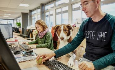 pet-friendly места