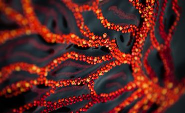 Зазеркалье