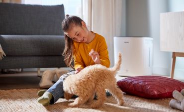 Домашний микроклимат на страже здоровья