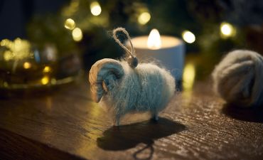 Баранець Бажань