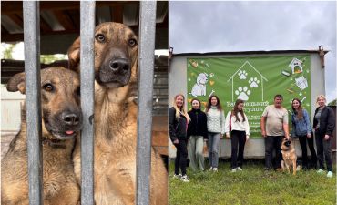 Допомога тваринам, які постраждали від війни