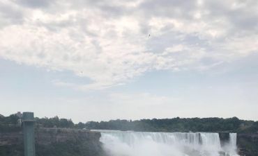 Злата Огневич