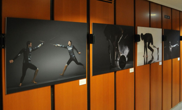 Viva Переможці в Чехии