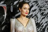 Анджелина Джоли призналась, почему удалила обе груди