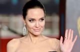 Само совершенство: Анджелина Джоли в черном бархатном платье на красной дорожке