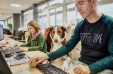 pet-friendly места