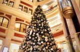 5-звездочный Новый год от Premier Palace Hotel Kyiv