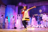 Анна Короткая, Золотая снежинка