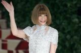 Анна Винтур рассказала, сколько стоит билет на Met Gala 2018