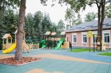 Ульяна Березенко: «Дошкольное образование в Украине будет развиваться и изменит подход к воспитанию