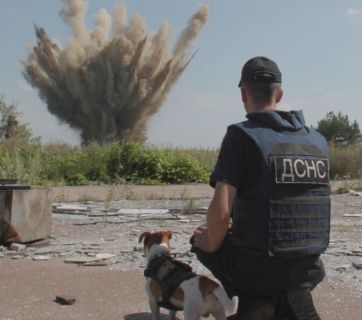 Антон Птушкін зняв фільм
