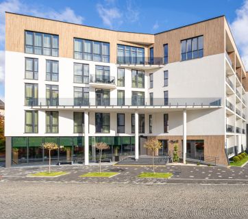 WOL.GREEN Polyana by Ribas