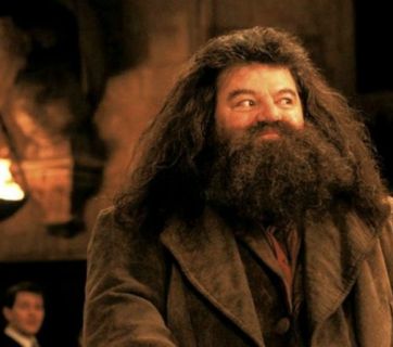 Гарри Поттер