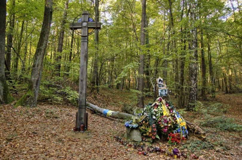 Володимир Івасюк: невідомі факти з життя легендарного композитора - Фото №18