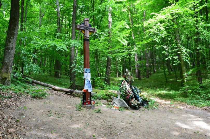 Володимир Івасюк: невідомі факти з життя легендарного композитора - Фото №21