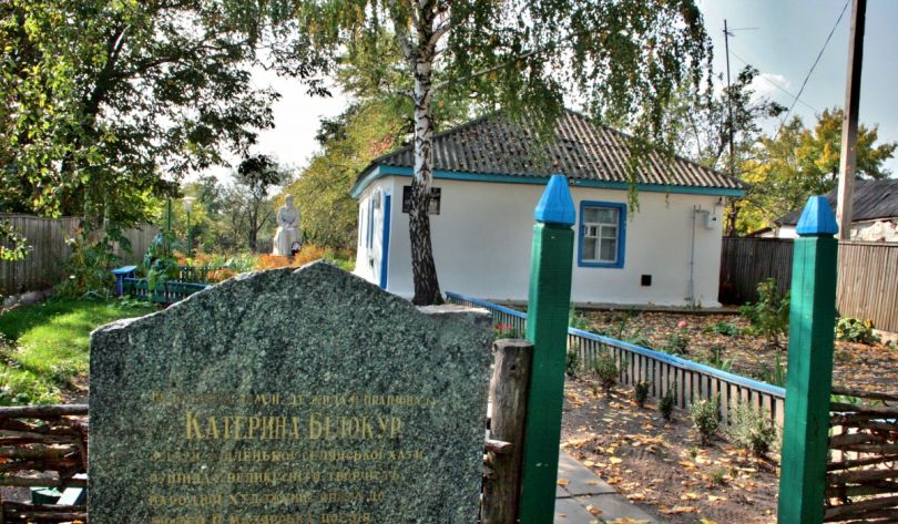 Екатерина Белокур: биография и самые известные картины художницы - Фото №15