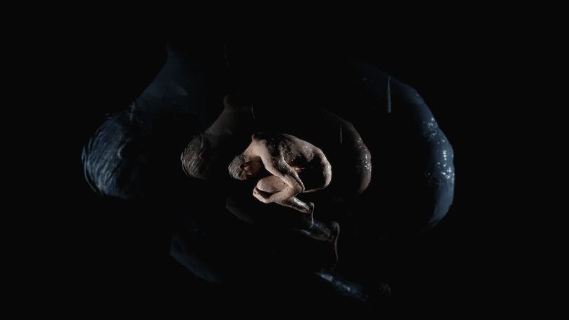 MELOVIN повністю оголився для зйомок відео