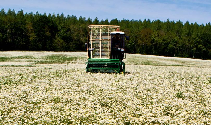 органічні поля бренду Yves Rocher