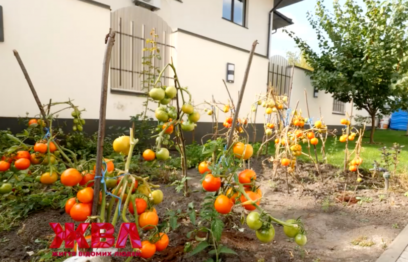 Дом и огород Натальи Мосейчук