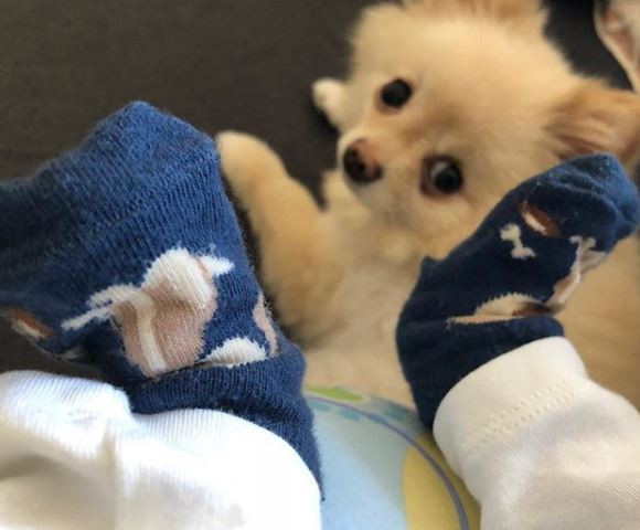 Сын Джамалы 