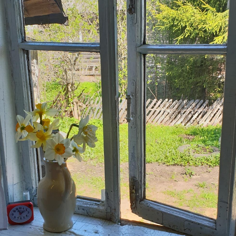 Вера Брежнева