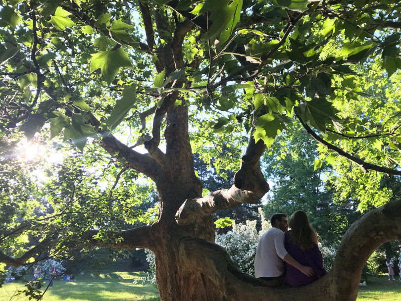 Анна Селюкова и Евгений Качалов сидят на дереве