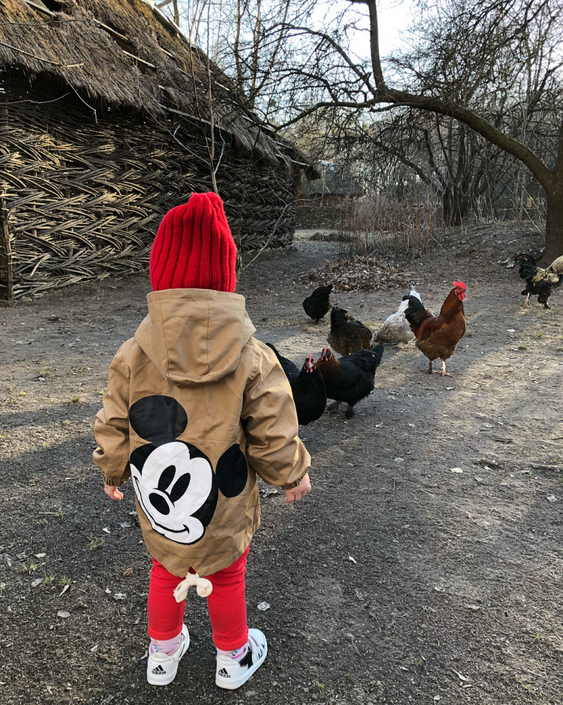 Дочь Аниты Луценко