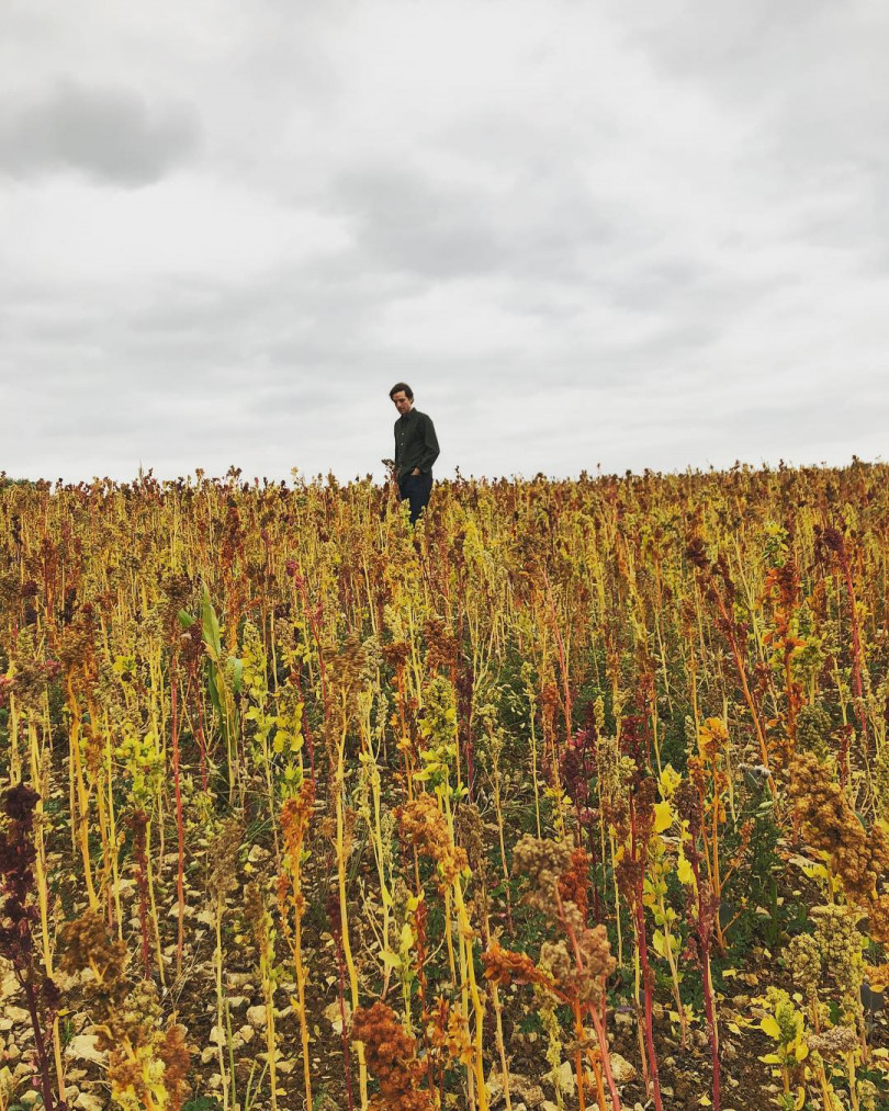 Александр Гилкс