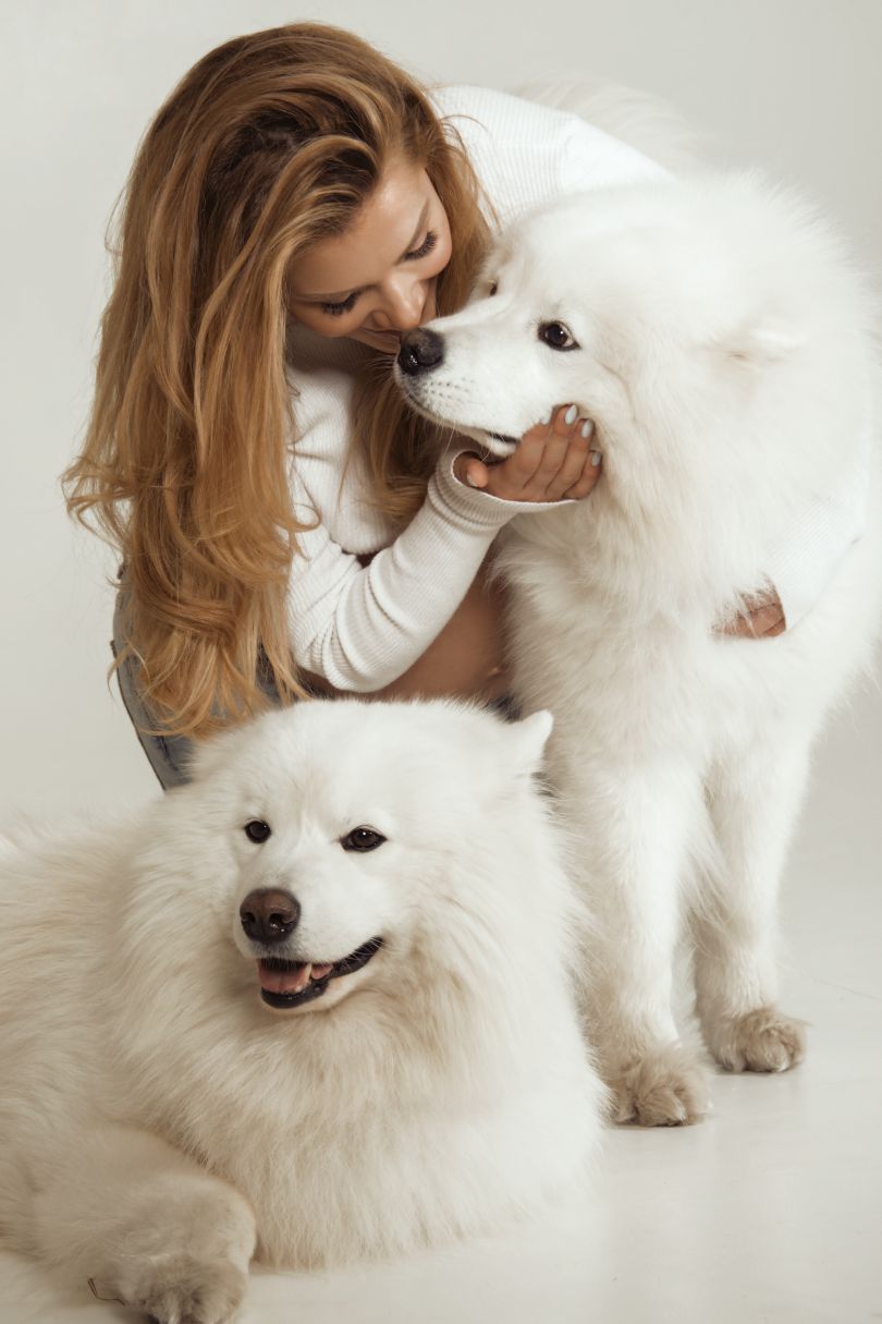 Миша Романова с белыми собаками