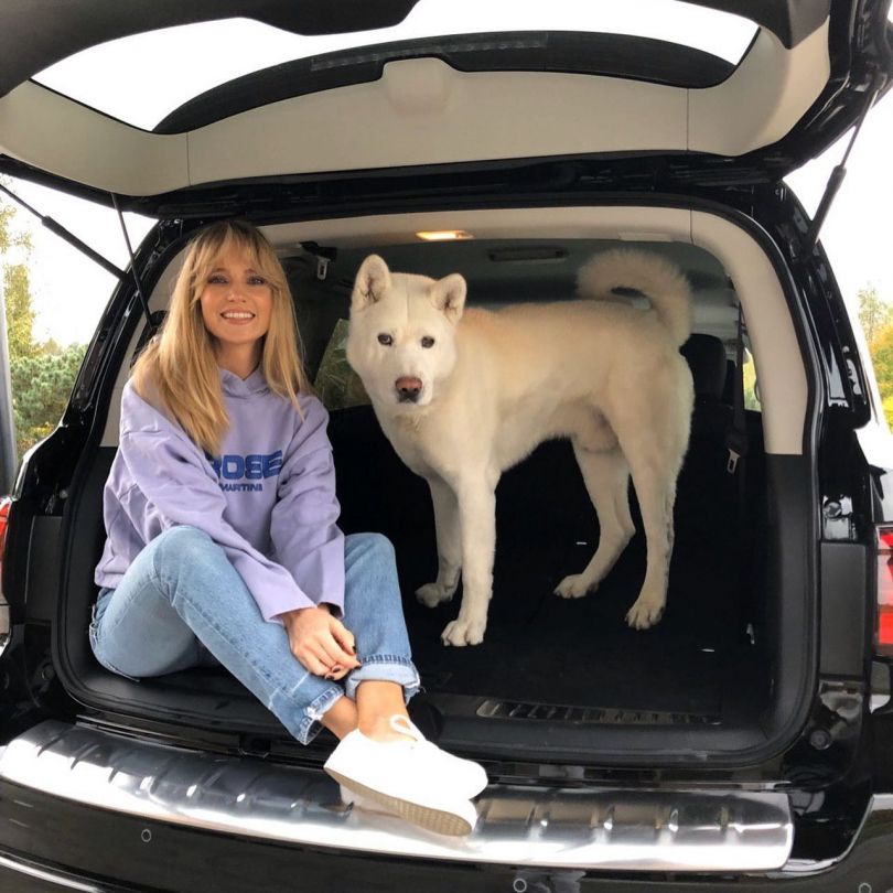 [readmore id="11642,10933"]