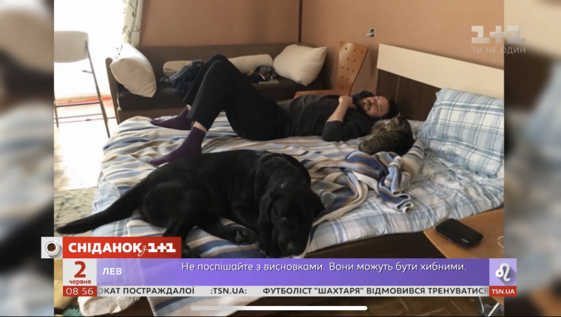 Егор Гордеев показала кота, которого его семья забрала с улицы